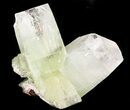 Zoned Apophyllite Twin Crystal Cluster - India #44323-1